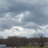 Enlarge photo 100