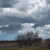 Enlarge photo 99