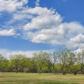Enlarge photo 97