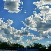 Enlarge photo 95