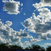 Enlarge photo 94