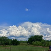 Enlarge photo 93
