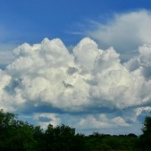 Enlarge photo 92