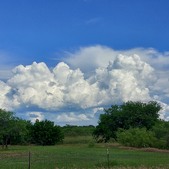 Enlarge photo 91