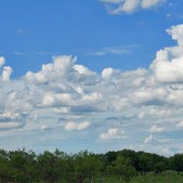 Enlarge photo 89