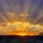 Enlarge photo 86