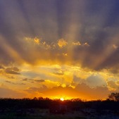 Enlarge photo 85