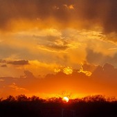 Enlarge photo 83