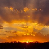 Enlarge photo 84