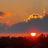 Enlarge photo 81