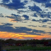 Enlarge photo 79