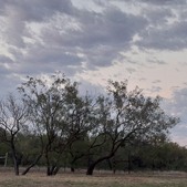 Enlarge photo 77