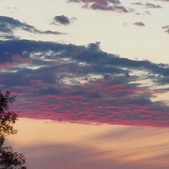 Enlarge photo 78