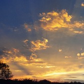 Enlarge photo 76