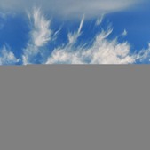 Enlarge photo 70