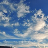 Enlarge photo 73