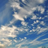 Enlarge photo 69