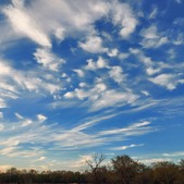 Enlarge photo 68