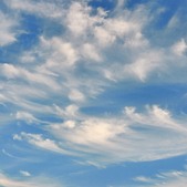 Enlarge photo 66