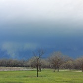 Enlarge photo 64