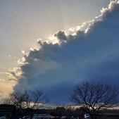 Enlarge photo 63