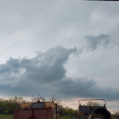 Enlarge photo 61