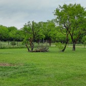 Enlarge photo 59