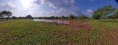 Enlarge photo 58
