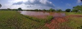 Enlarge photo 57