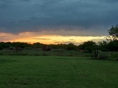 Enlarge photo 54