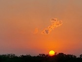 Enlarge photo 52