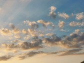 Enlarge photo 50
