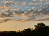 Enlarge photo 49