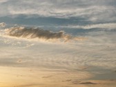 Enlarge photo 47