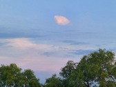 Enlarge photo 46