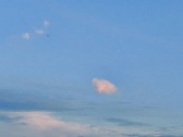 Enlarge photo 45