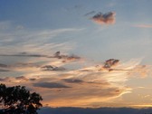 Enlarge photo 44