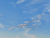 Enlarge photo 42