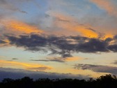 Enlarge photo 40