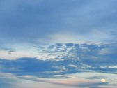 Enlarge photo 39