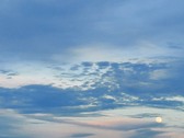 Enlarge photo 37