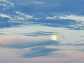 Enlarge photo 36