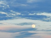 Enlarge photo 33