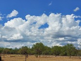 Texas skies