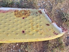 Enlarge photo 11