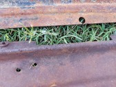 cab wiper sheetmetal