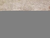 Enlarge photo 41