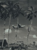 Enlarge photo 87