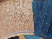 Enlarge photo 81