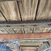 Enlarge photo 19